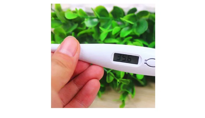 3 Pack: Digital Baby/Adult Thermometer Oral and Rectal for Fever, Newborn, Baby, Kid, Child, Adult