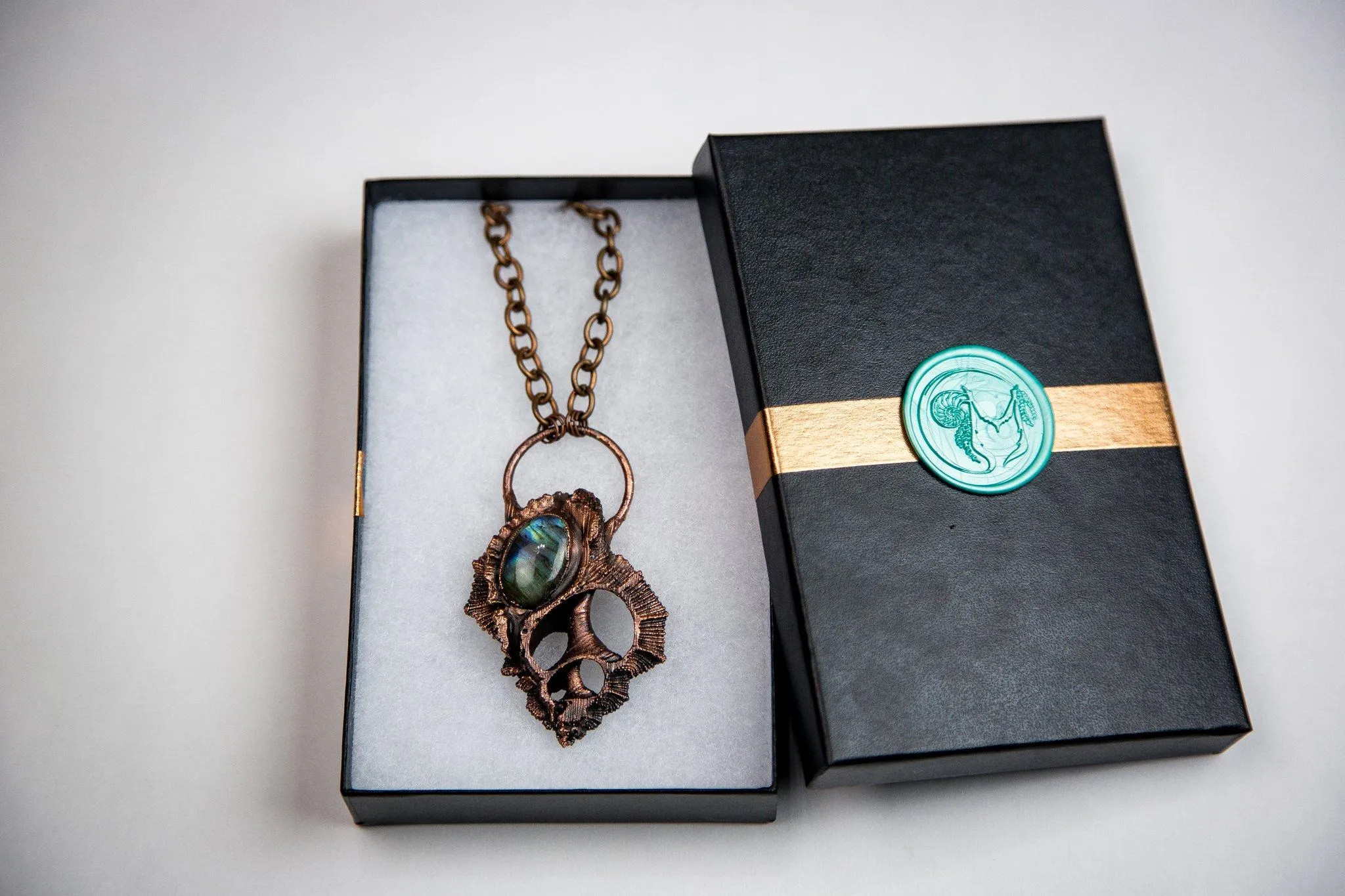 Bursa Rana Shell with Labradorite