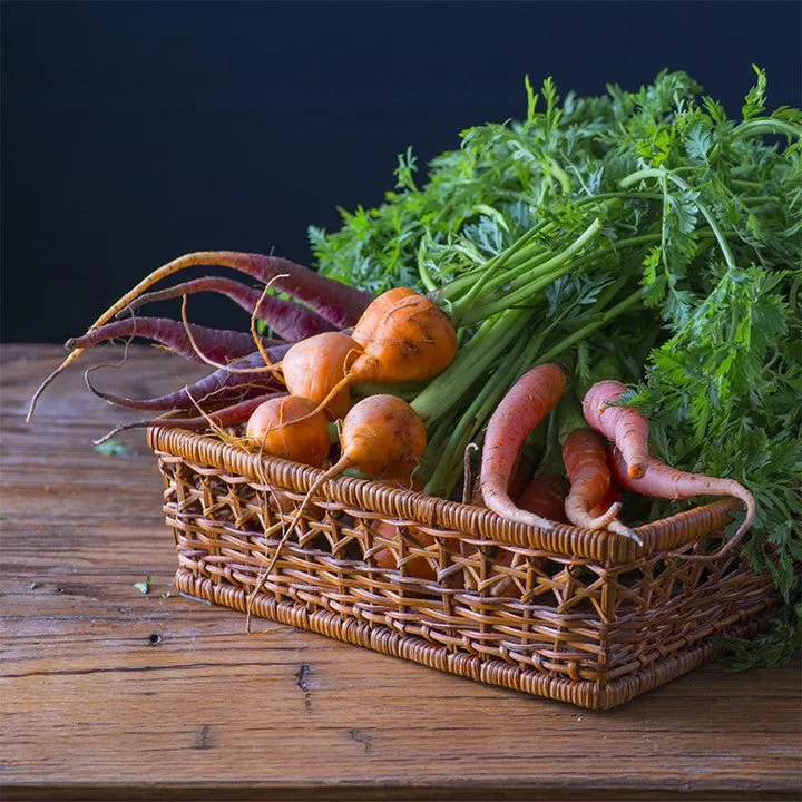 Carrots 24" Square Banner for Bulletin Boards and Walls