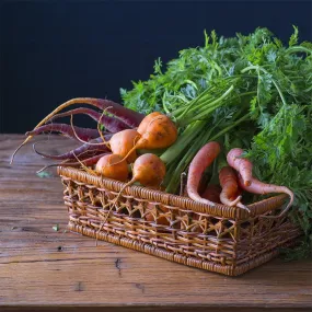 Carrots 24" Square Banner for Bulletin Boards and Walls