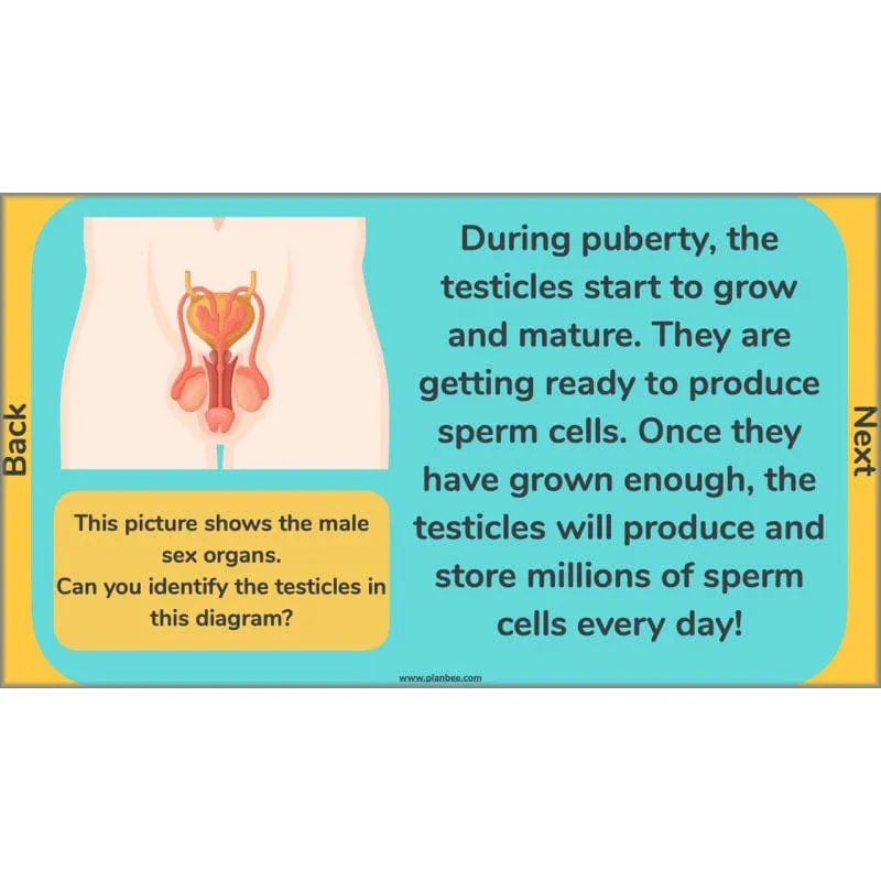 Changes and Reproduction