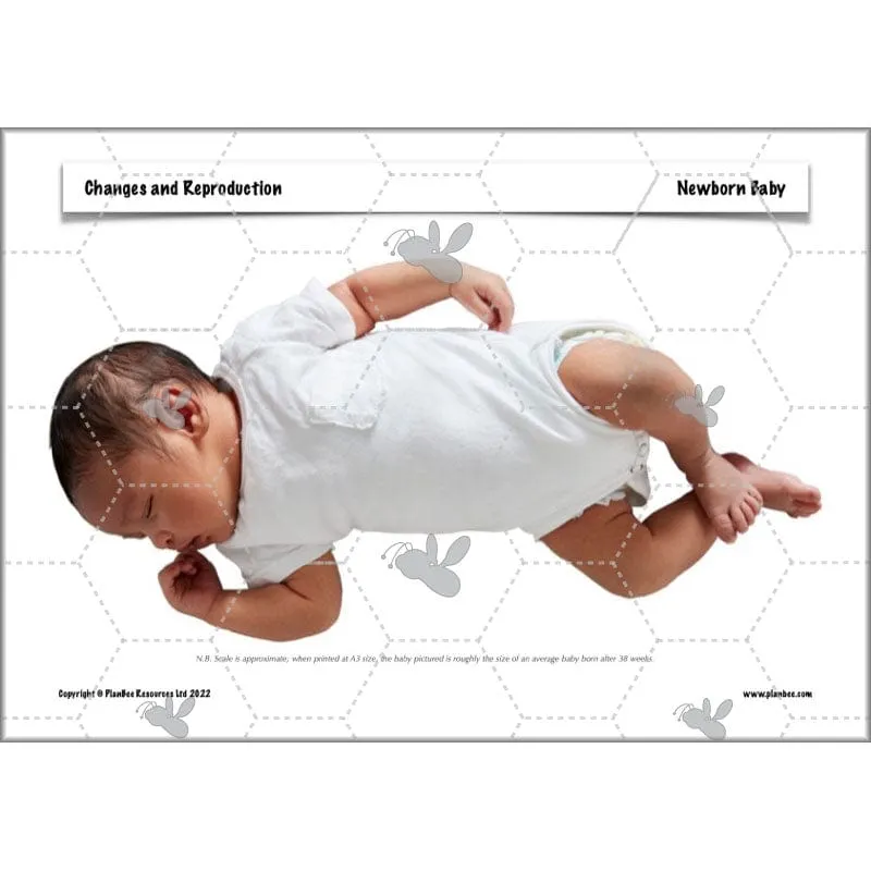 Changes and Reproduction