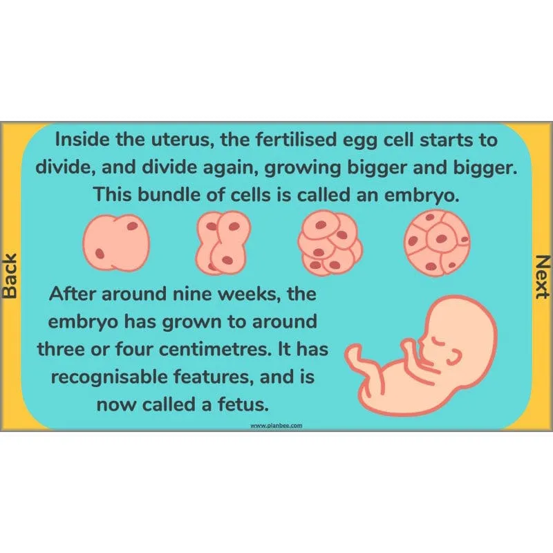 Changes and Reproduction
