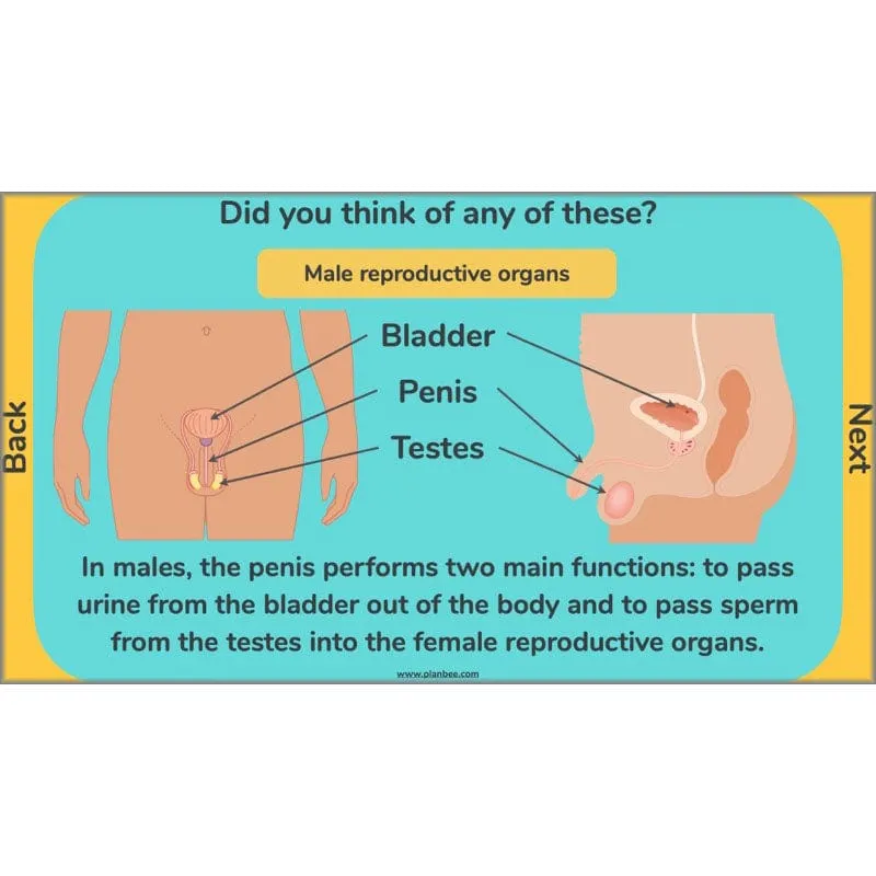 Changes and Reproduction