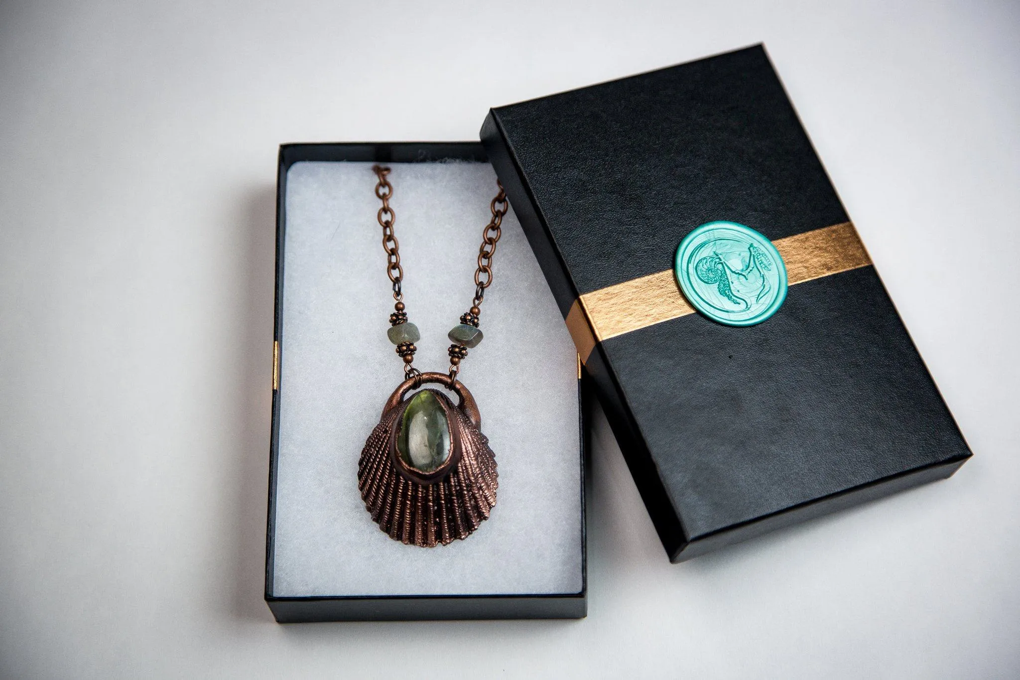 Cockle Shell with Labradorite