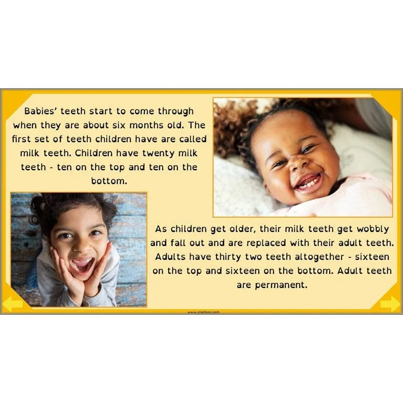 Eating and Digestion
