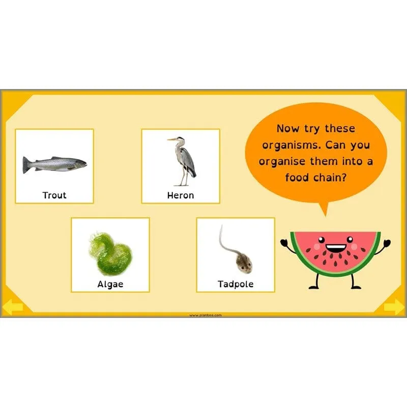Eating and Digestion