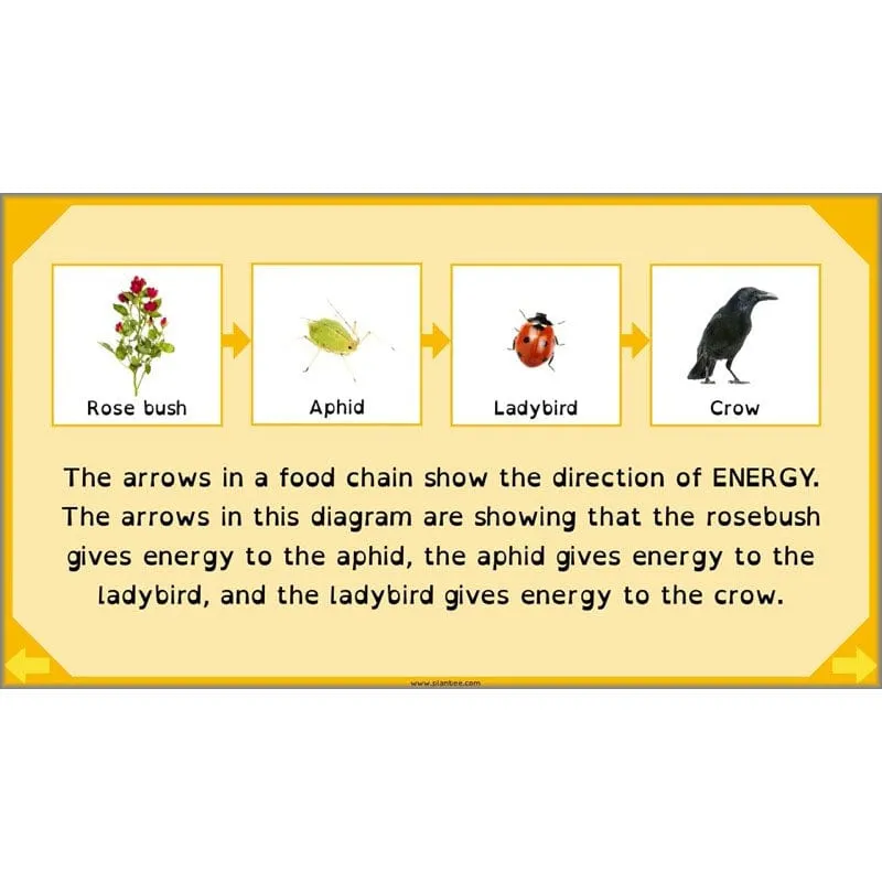 Eating and Digestion