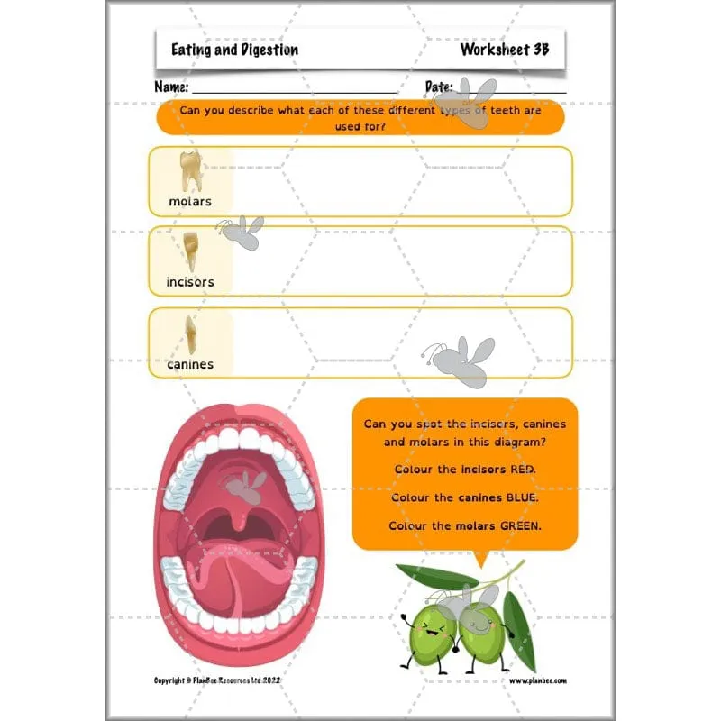Eating and Digestion