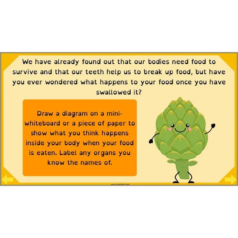 Eating and Digestion