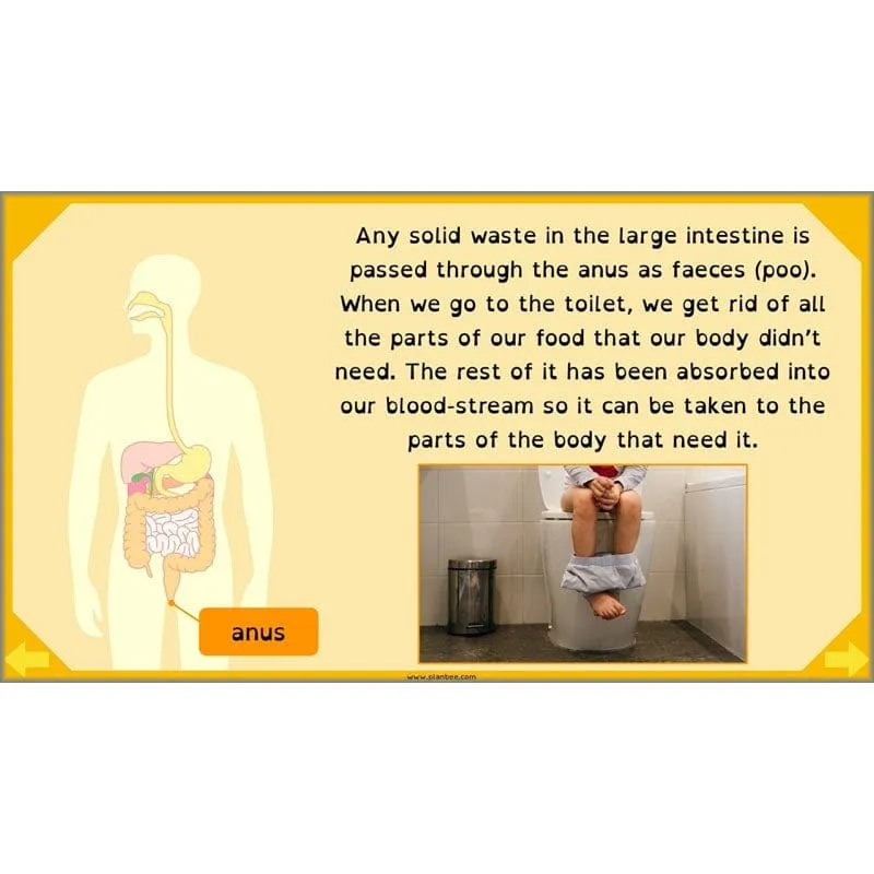 Eating and Digestion