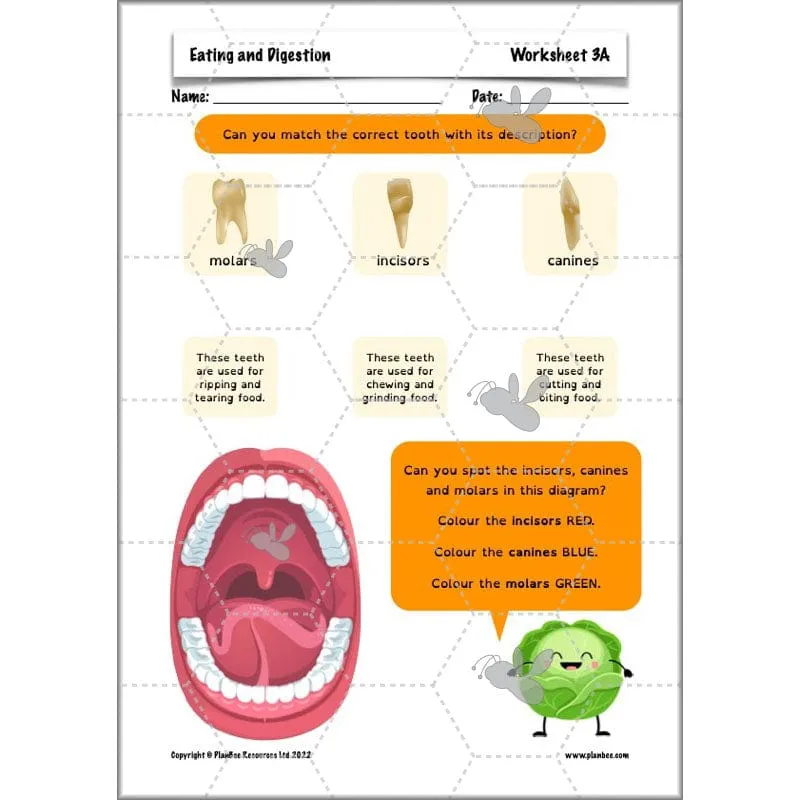 Eating and Digestion