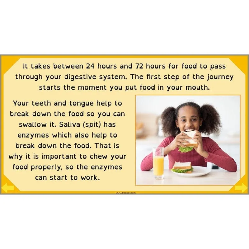 Eating and Digestion