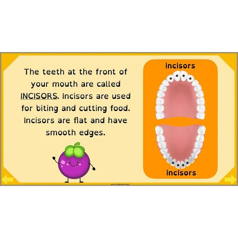 Eating and Digestion