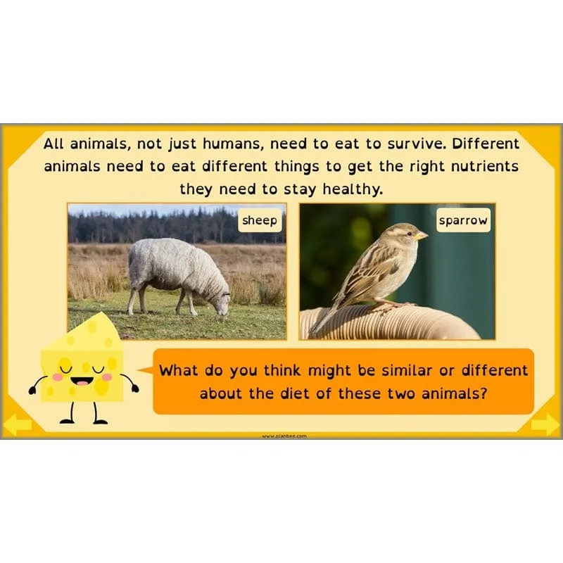 Eating and Digestion