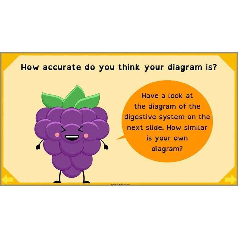 Eating and Digestion