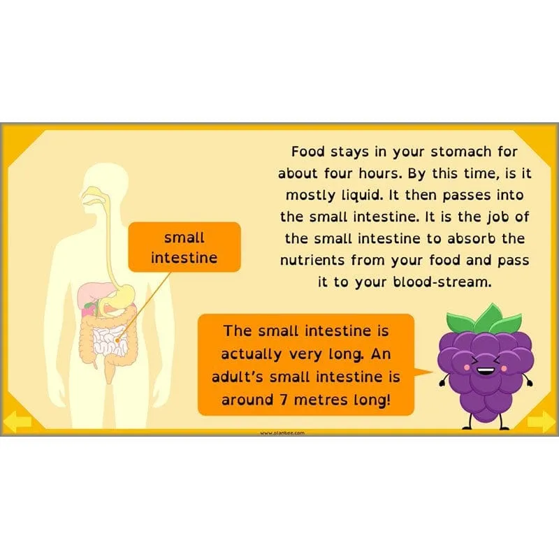 Eating and Digestion