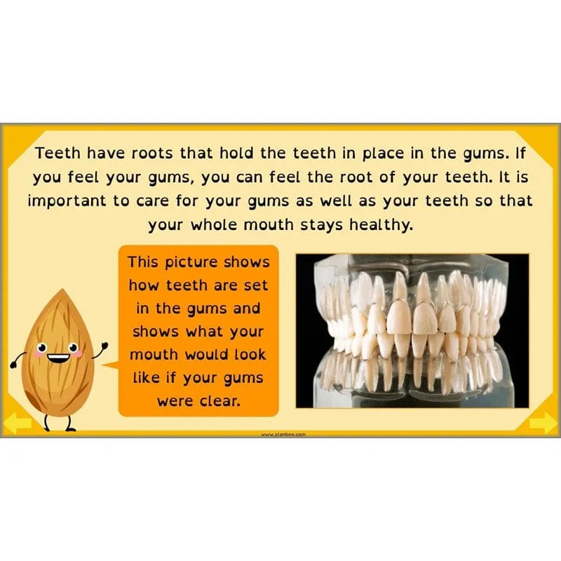 Eating and Digestion