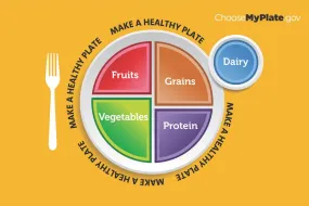 Floor Sticker - MyPlate