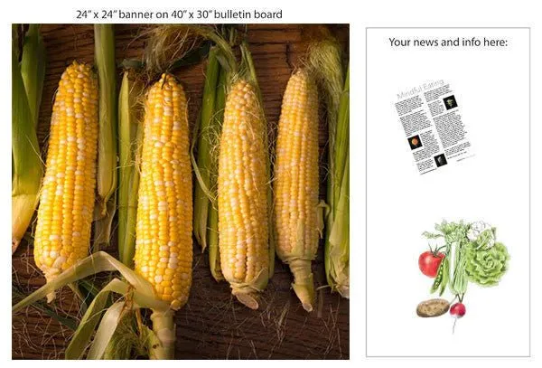 Fresh Corn 24" Square Banner for Bulletin Boards and Walls