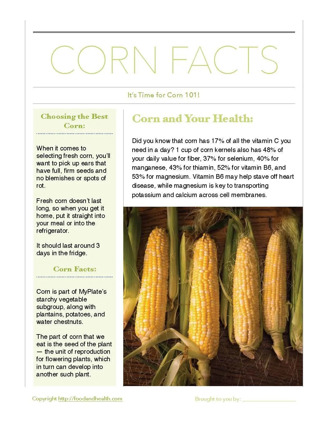 Fresh Corn 24" Square Banner for Bulletin Boards and Walls