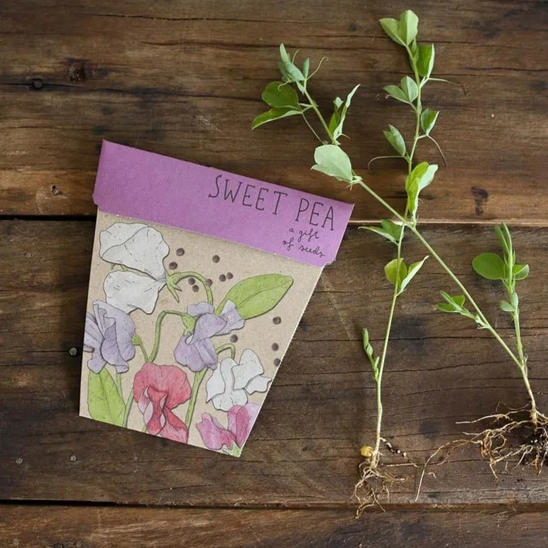 Gift of Seeds : Flowers