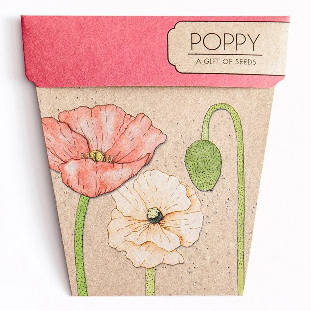 Gift of Seeds : Flowers
