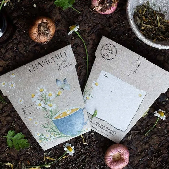 Gift of Seeds : Flowers