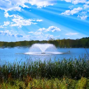 Kasco 3400VFX 3/4 HP Display Fountain Pond Aerator - 115V