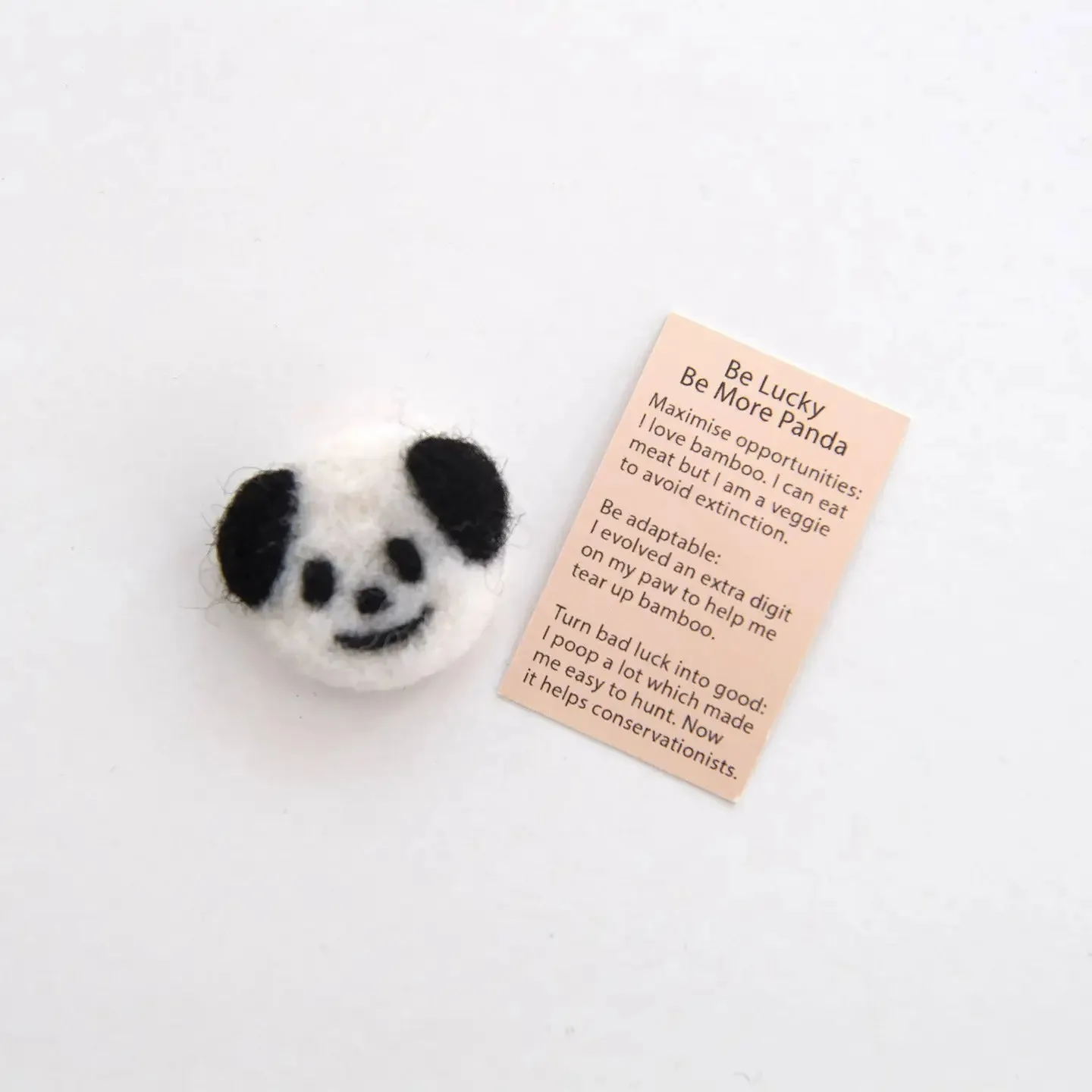 Matchbox Pocket Pals : My Spirit Animals