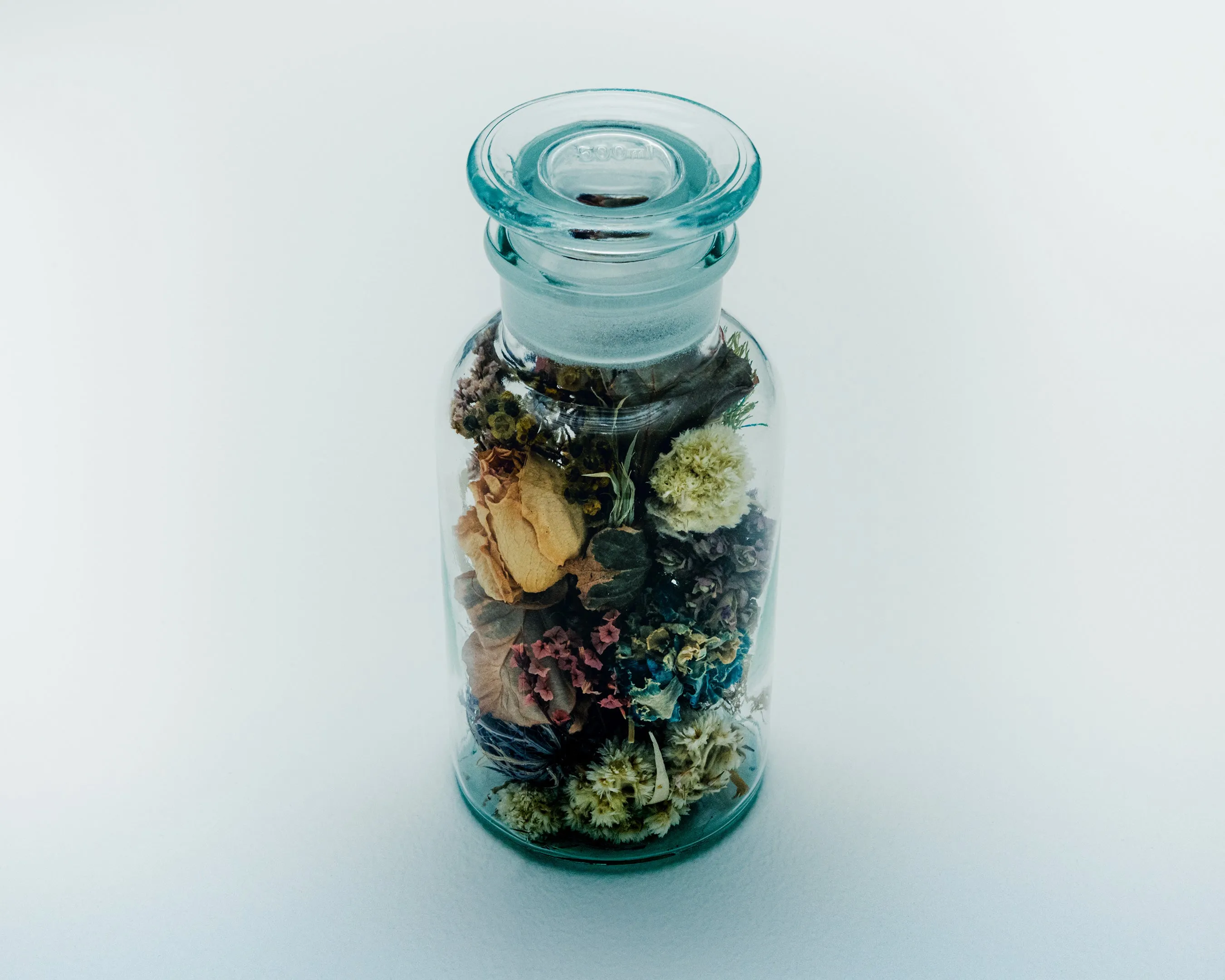 Megumi Shinozaki, Pot-pourri (Medium)