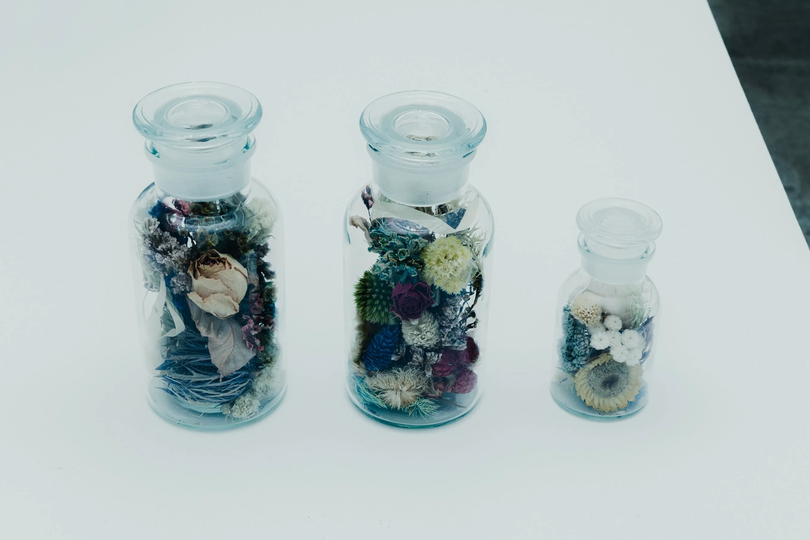 Megumi Shinozaki, Pot-pourri (Medium)