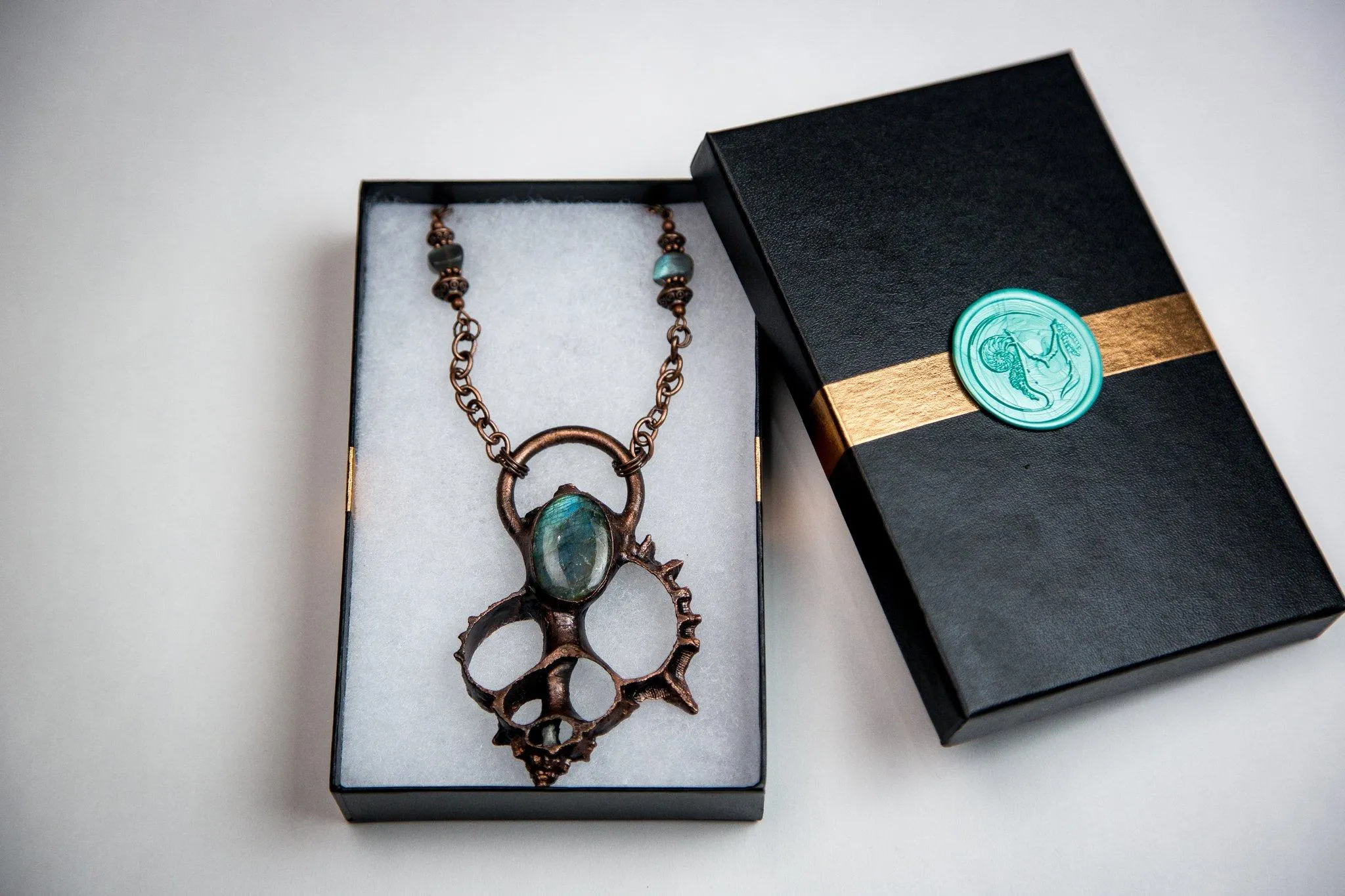 Murex Shell with Labradorite