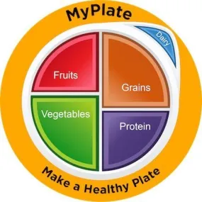 MyPlate Static Clings - Pack of 3