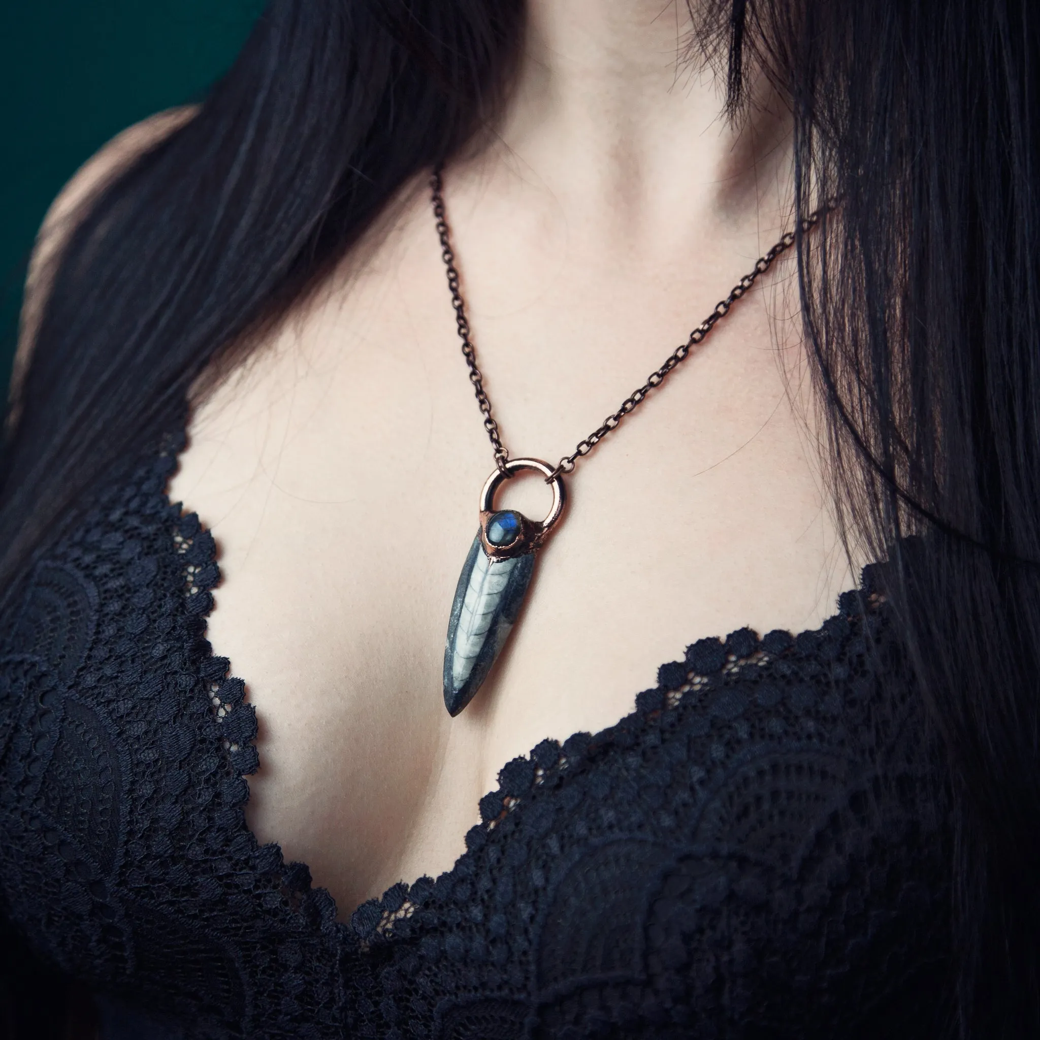 Orthoceras Fossil with Labradorite