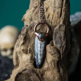 Orthoceras Fossil with Labradorite