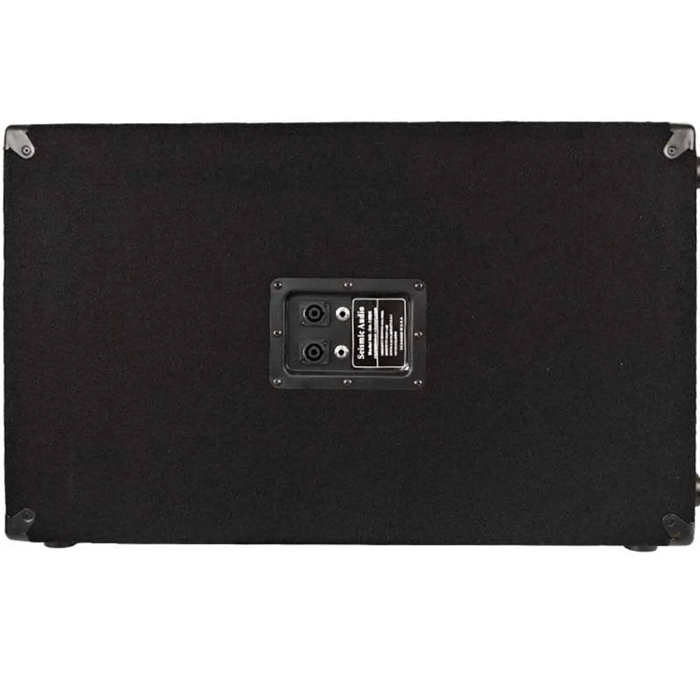 Pair of 12" Floor Monitors with Titanium Horns