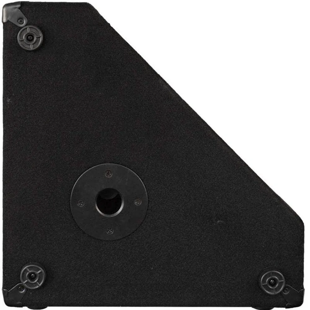 Pair of 12" Floor Monitors with Titanium Horns
