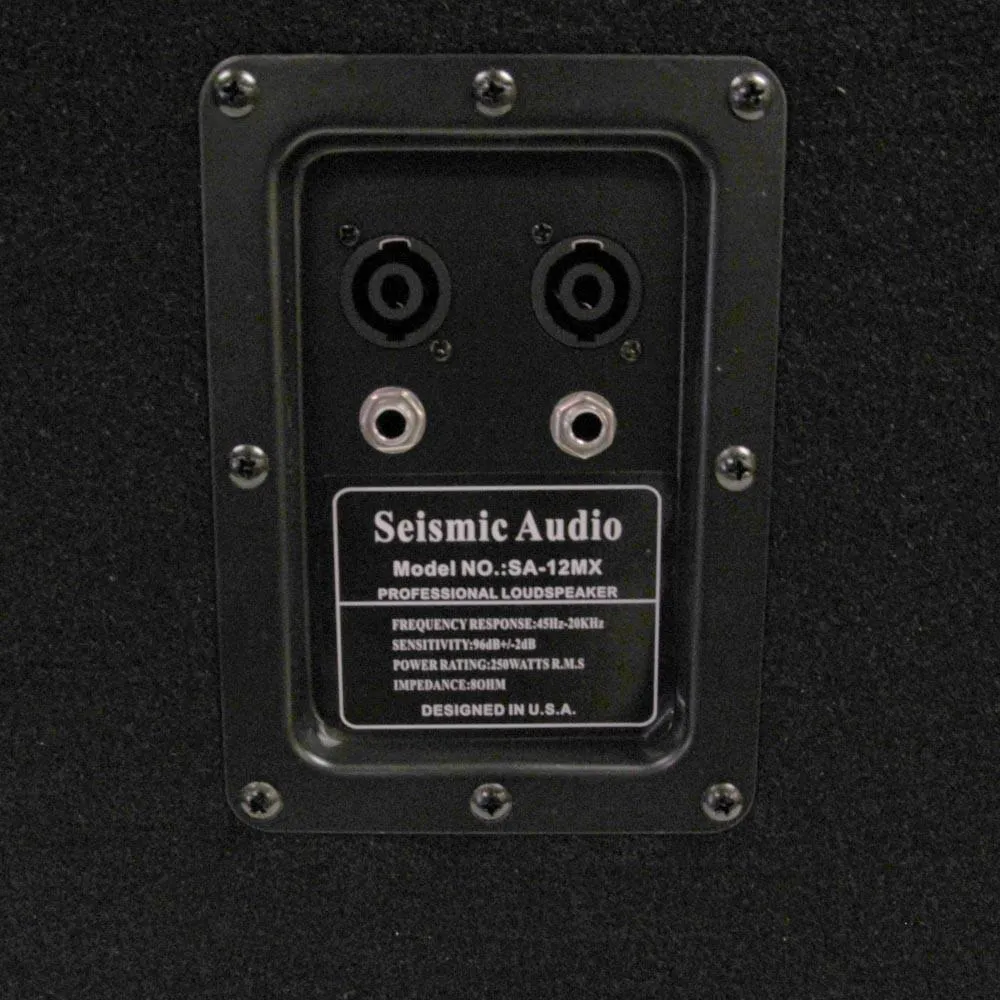 Pair of 12" Floor Monitors with Titanium Horns