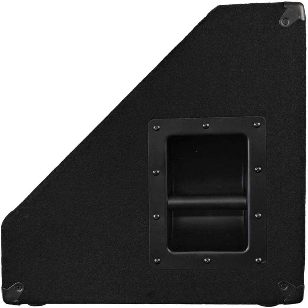 Pair of 12" Floor Monitors with Titanium Horns