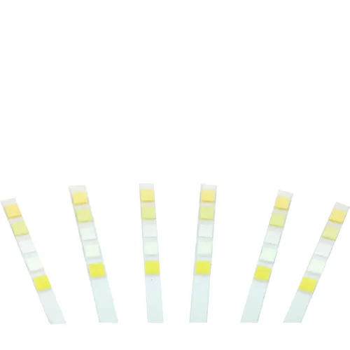 Roche Chemstrip 5 OB Urine Test Strips 100/Vial