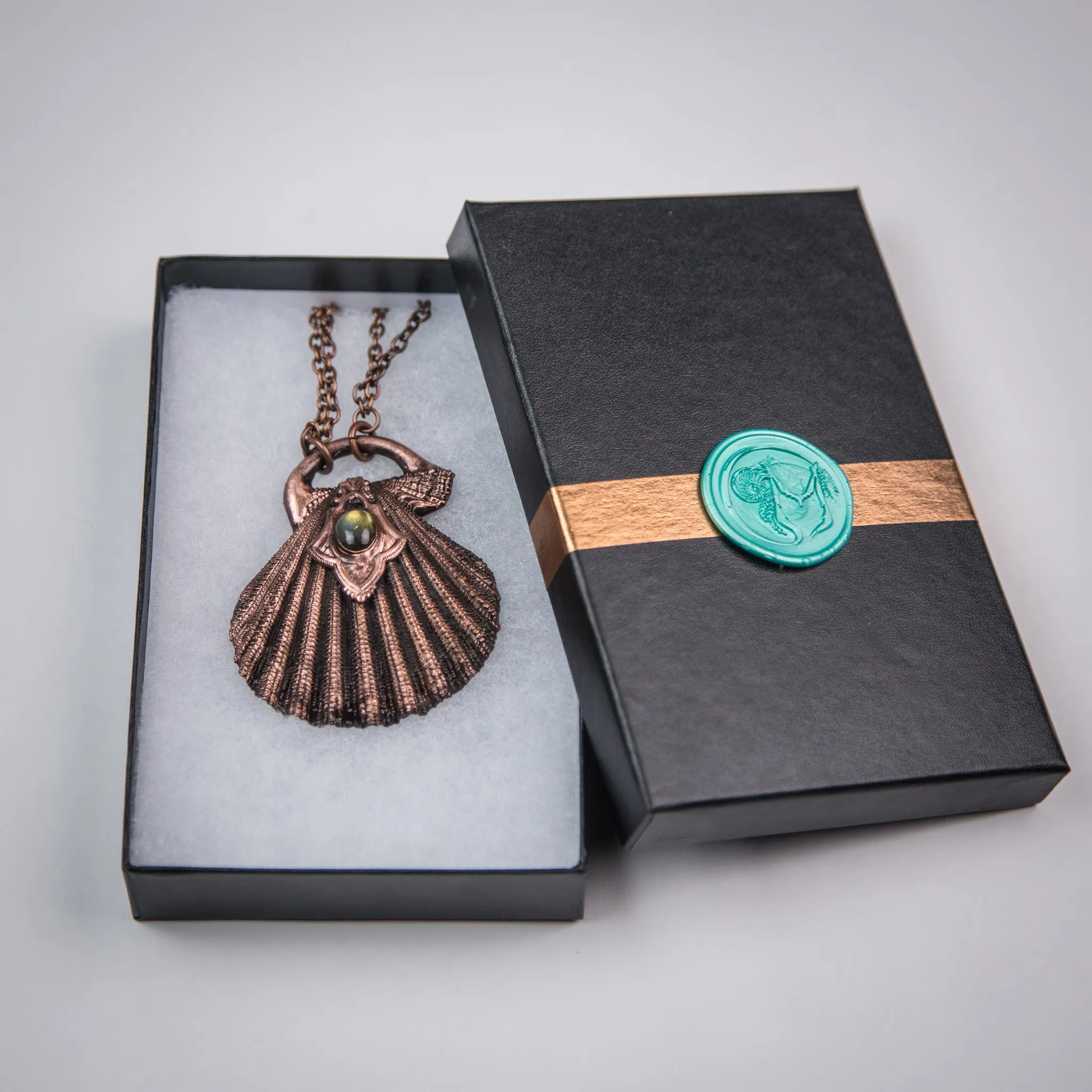 Scallop Shell with Labradorite Stone