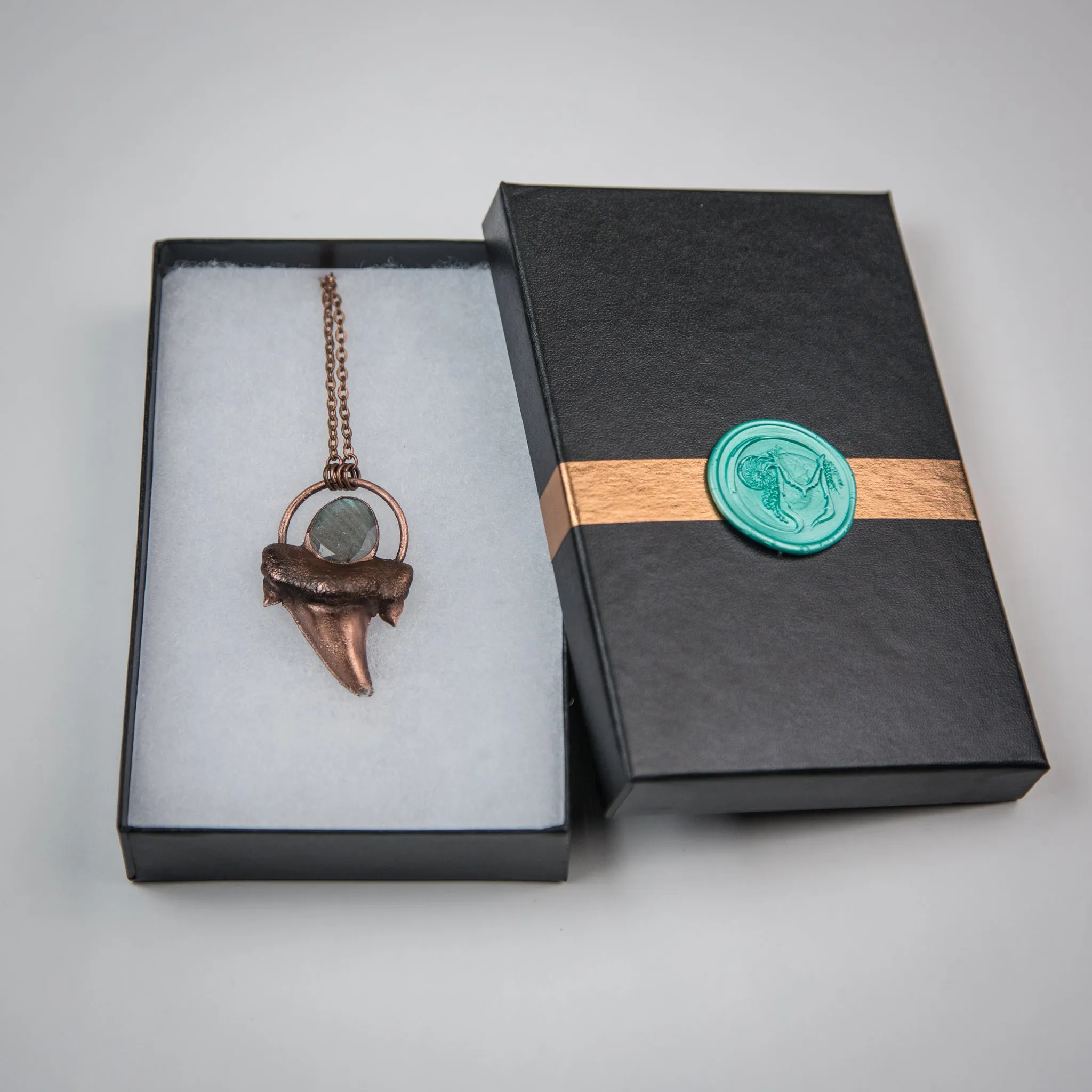 Shark Tooth pendant with Faceted Labrodorite
