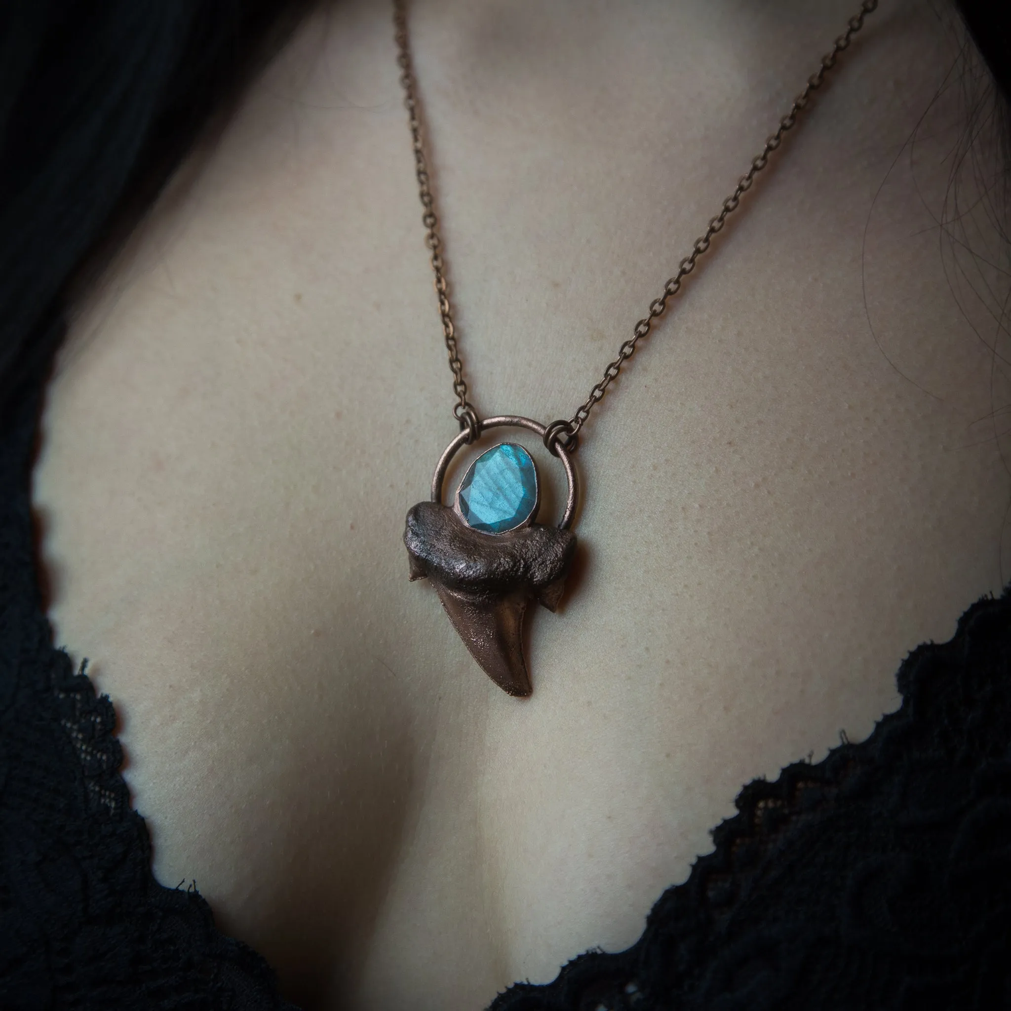 Shark Tooth pendant with Faceted Labrodorite